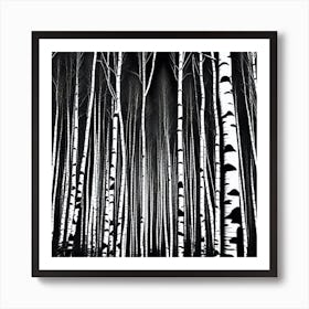 Birch Forest 44 Art Print