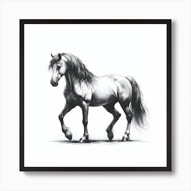 Horse In Black And White Art Print