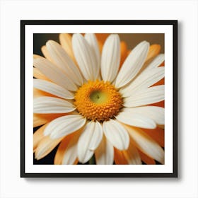 Daisy 5 Art Print