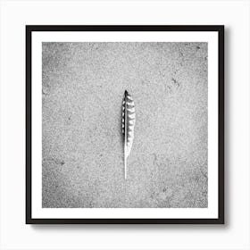 Bird feather on the Beach // Travel Photography Art Print