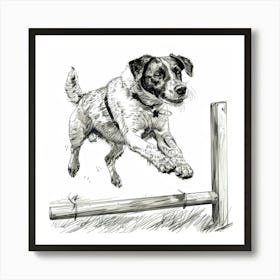 Dog Jumping Over A Fence Art Print