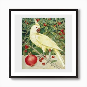 Cockatoo And Pomegranate, Walter Crane Art Print