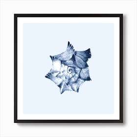 Bird'S Nest seashell Art Print
