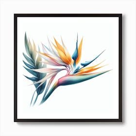 Flower of Bird of Paradise Art Print