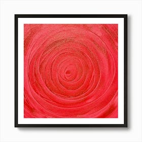 Red Rose Art Print