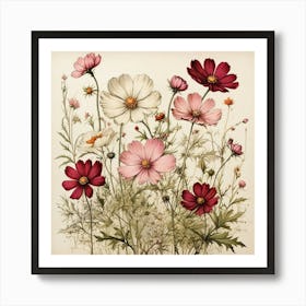 Cosmos Wildflower Vintage Botanical Art Print 2 Art Print