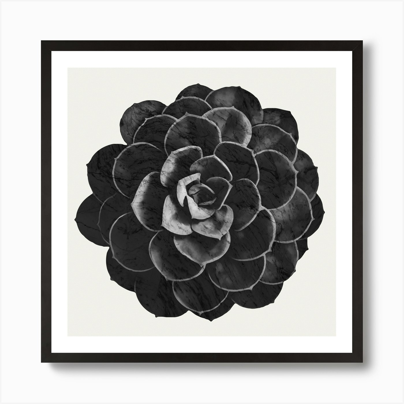 Succulent Black Marble Wall Art Print Free Shipping Fy