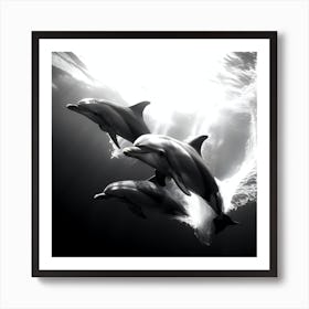Dolphins In The Water Art Print