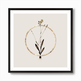 Gold Ring Gladiolus Junceus Glitter Botanical Illustration n.0178 Art Print
