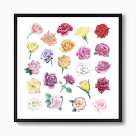 Roses Square Art Print