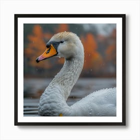 Swan In The Rain 4 Art Print