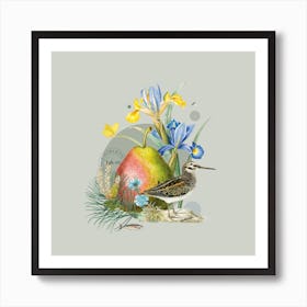Flora & Fauna with Jacksnipe 1 Art Print