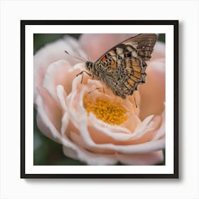 Butterfly On A Rose Art Print