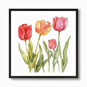 Watercolor Tulips 1 Art Print