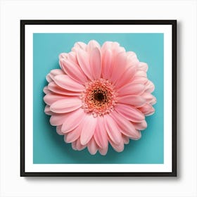 Pink Gerbera Flower Art Print