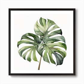 Large Monstera leaf 11 Art Print