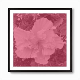 Pink Flower Art Print