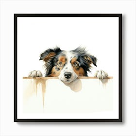 Australian Shepherd 1 Art Print