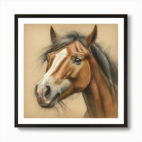 Horse Portrait 3 Art Print