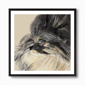 Pomeranian Dog Art Art Print