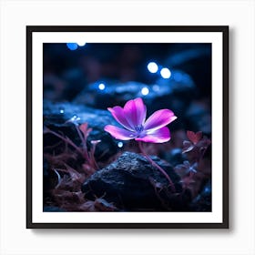 up close on a black rock in a mystical fairytale forest, alice in wonderland, mountain dew, fantasy, mystical forest, fairytale, beautiful, flower, purple pink and blue tones, dark yet enticing, Nikon Z8 6 Art Print