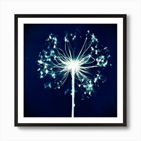 Dandelion Art Print