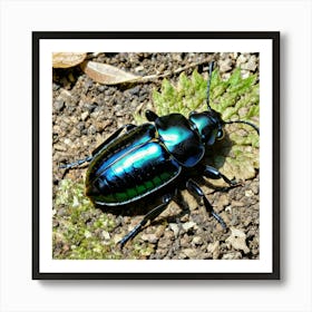 Beetle Insect Bug Coleoptera Exoskeleton Antennae Wings Black Colorful Small Crawling Car (2) Art Print