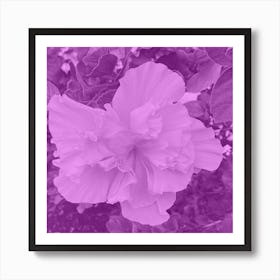 Amethyst Flower Art Print