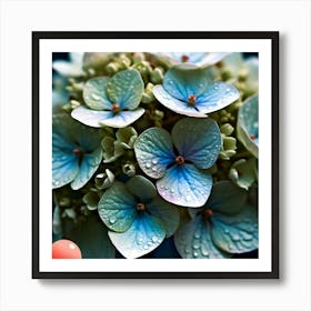 Hydrangeas Art Print