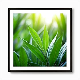 Ecology Plant Green Nature Garden Flora Fresh Leaf Summer Natural Environment Spring Gra Art Print