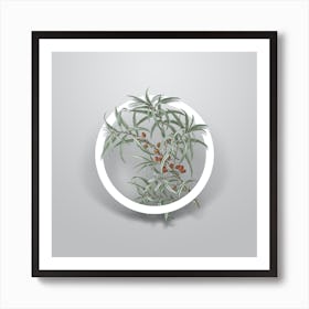Vintage Common Sea Buckthorn Minimalist Botanical Geometric Circle on Soft Gray n.0314 Art Print
