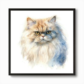 Colorpoint Persian Cat Portrait 1 Art Print