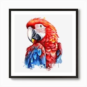 Red Parrot Affiche