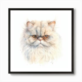 Colorpoint Persian Cat Portrait Art Print