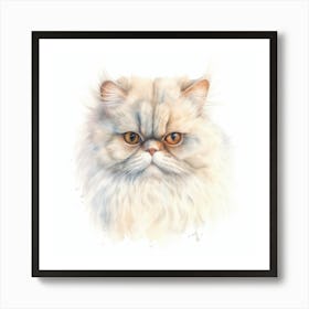 Colorpoint Persian Cat Portrait Poster