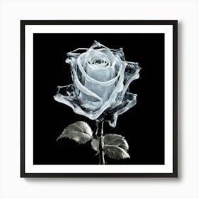 Ice Rose Art Print