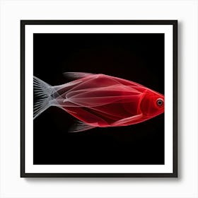 Fish - Fish Stock Videos & Royalty-Free Footage Art Print