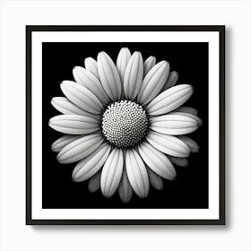 Daisy Flower Art Print