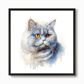 British Shorthair Persian Cat Portrait Art Print