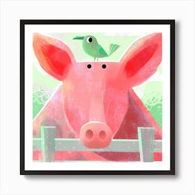 Pig With Pesky Bird Square Art Print