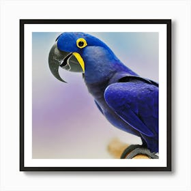 Blue Parrot 3 Art Print