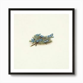 Moss Forget Me Not Art Print