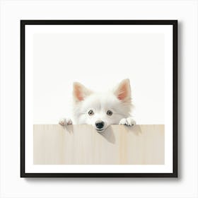 White Dog Peeking Over The Fence Art Print