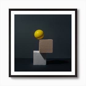 Ball On A Block Art Print