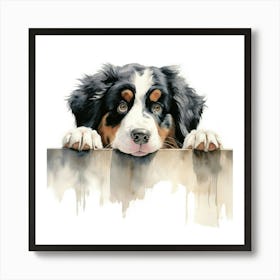 Bernese Mountain Dog 5 Art Print