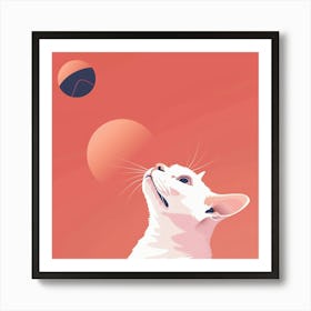 Cat Looking Up At The Sun Art Print