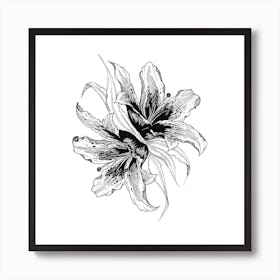 Lilies  Art Print