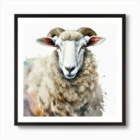 Sheep Watercolor Art Print