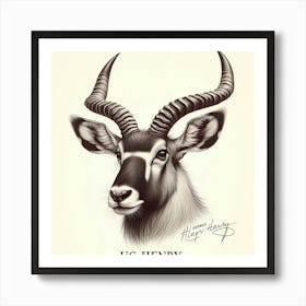 Antelope head Image Art Print