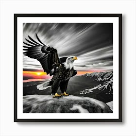 Bald Eagle 2 Art Print
